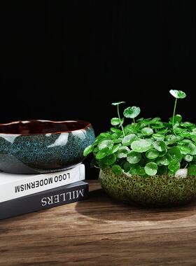 大号水仙花水钱植物陶瓷花盆大口DCTC2204径水养一叶莲培铜草碗专