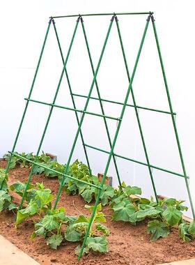 黄瓜爬藤架豆角架杆西红柿架种菜蔬菜搭棚子架植物支撑杆包塑钢管