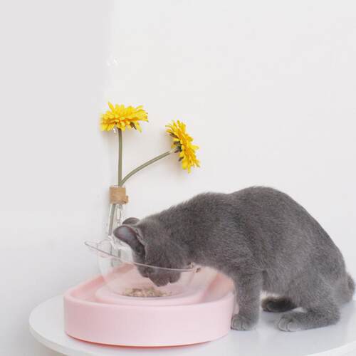 直销新款猫耳朵猫碗可调节角度斜口双碗饮水碗猫食盆大脸猫食水碗