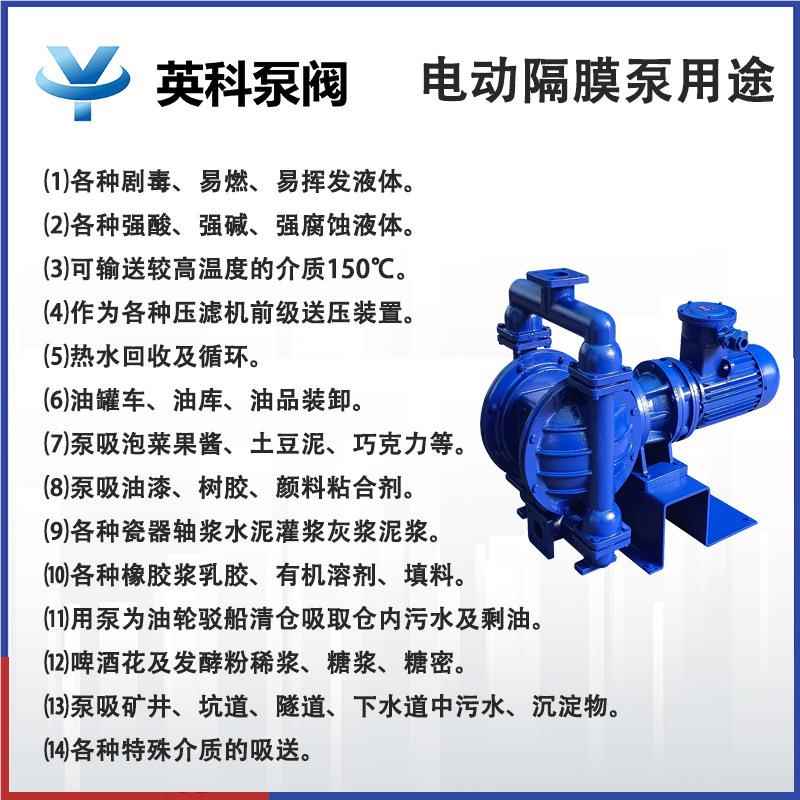 6牌电镀化工原料输4送耐酸碱防双腐 163DBY-15SF 塑料电动隔膜泵