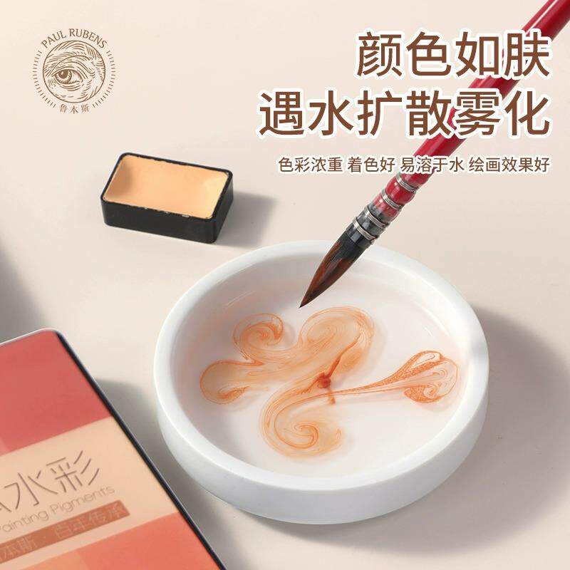 鲁本固体水彩绘颜料12色套装肤彩色系列一肉色斯专业级可水12色洗