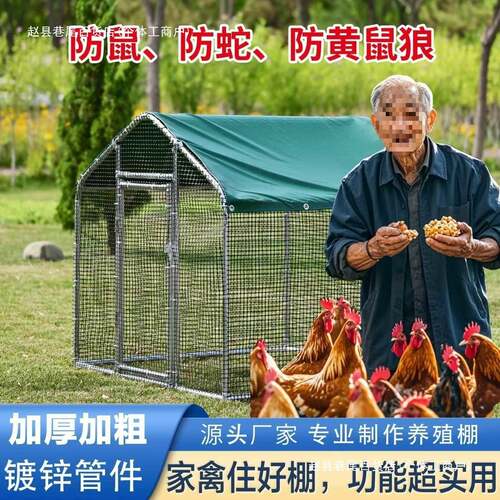鸡棚家禽鸡笼户外养鸡鸽笼孔雀防雨鸡舍大型搭建家用特大号养殖棚