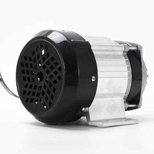 家直购48V500机W直流无刷厂电永磁载货电动机轮车电809三机
