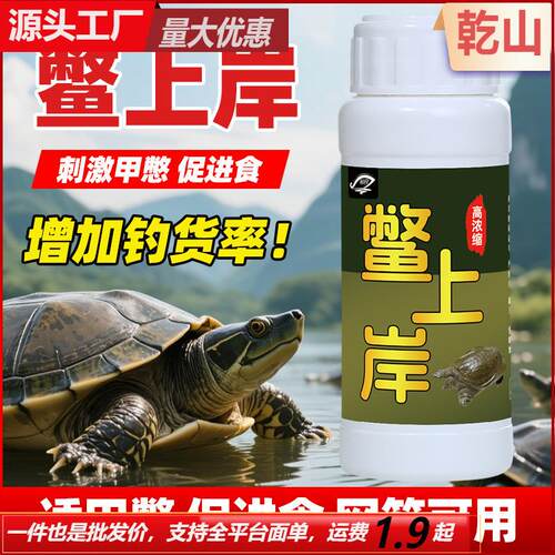 Turtles come ashore, shrimps come ashore, softshell turtles
