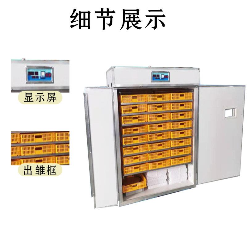 跨境货JGX源家用小恒雏全自动智能孵化器新款育鸡孵蛋器大型温孵