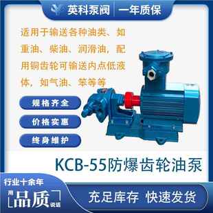 防爆液油KCB55齿轮泵 微型k涂料齿压轮油 小型铸c铁电动抽油泵640