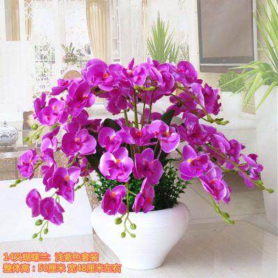 蝴蝶兰花盆栽假花客厅卧室摆放花艺装饰花塑料花干花绢花王之