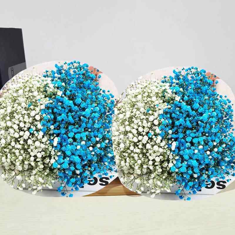 大束满天星干花花束真花自然风干鲜花带花瓶客厅卧室居家装饰摆件图片