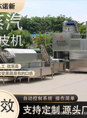 诺新多功能蒸汽去皮机加工葡萄罐头脱皮设备带黄桃加工工艺