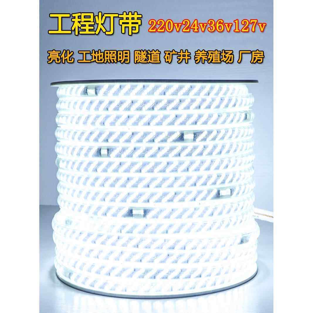 220v防水灯带超亮白光养殖照明户外工地矿井地下室低压24v36v灯条