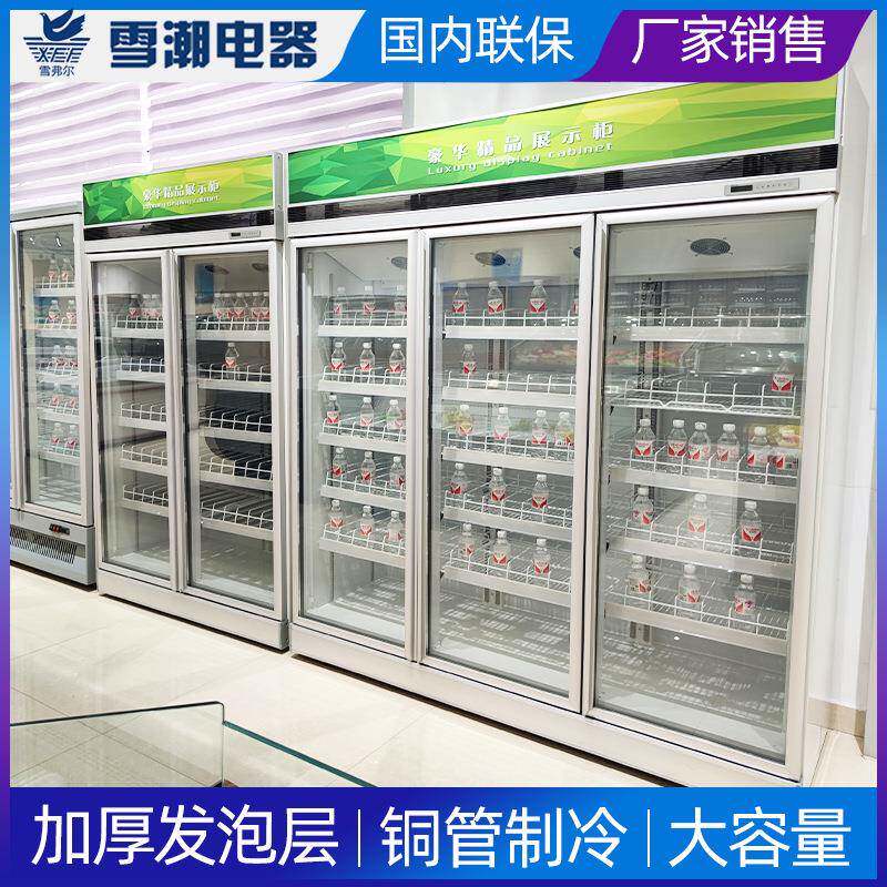 冷冻柜雪糕汤圆冷冻柜超市冷藏柜双门冷冻展示柜立式冷藏冷冻柜