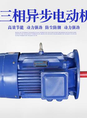 厂家主营水泵变频电机YE3系列电动机YE3-160L-8三相异步电动机