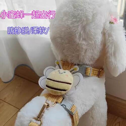 Dog leash for small dogs, suitable for breeds like Teddy and