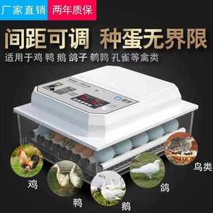 110V专用 孵化器小型家用全自动孵化机鸡鸭鹅鸽孵蛋器孵化箱