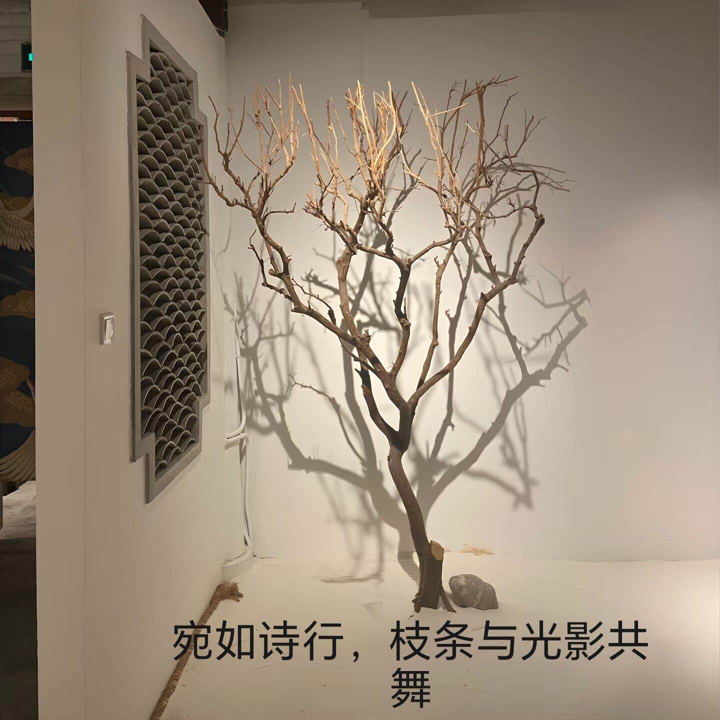 天然干树枝墙面装饰摆饰客厅玄关枯树枝艺术插花拍照道具橱窗造景