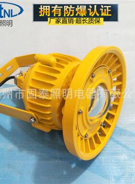 S8110-40TWLED防爆平台灯ST8011-4爆50W护栏式免维护节能防灯壁装