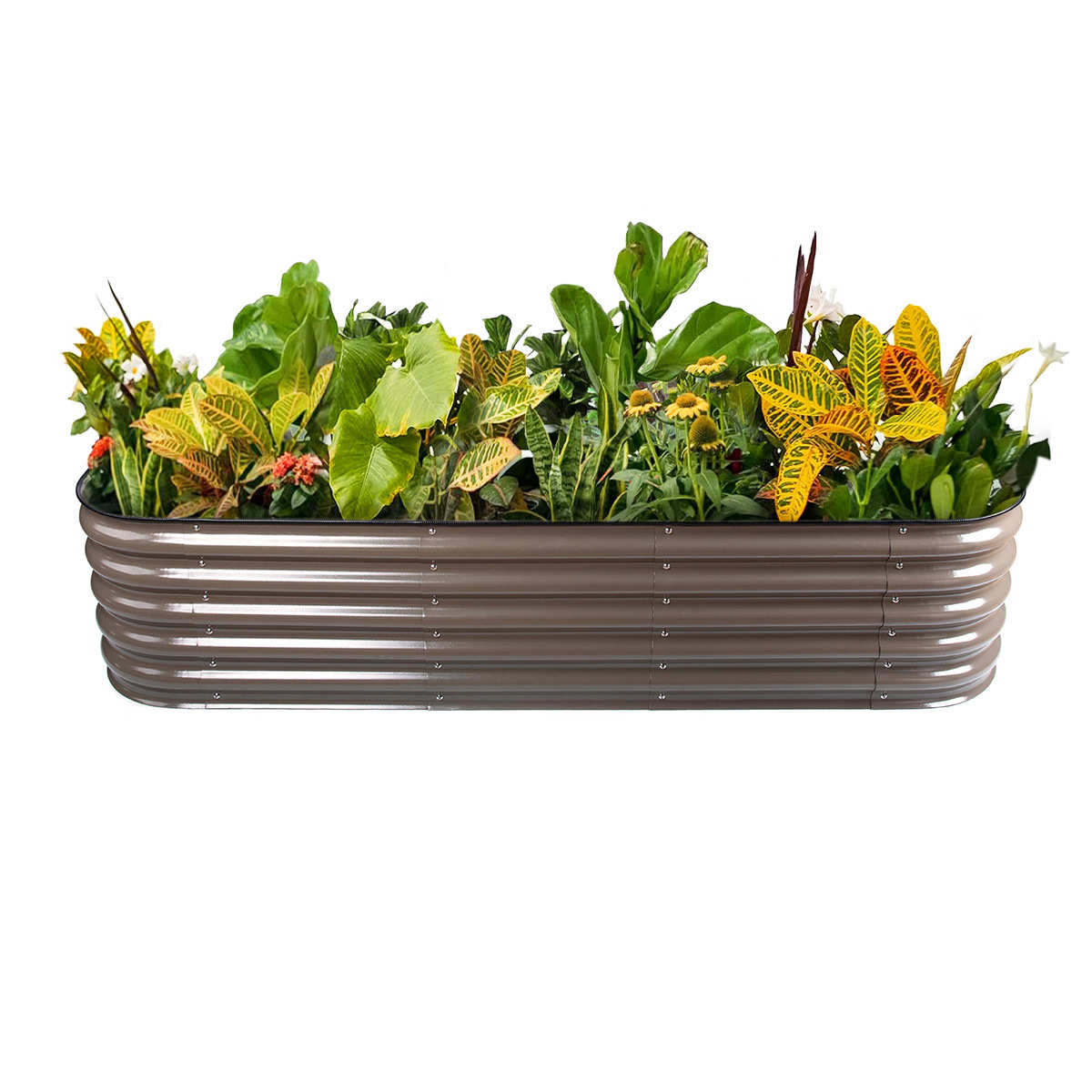 花箱蔬菜箱种植床种植容器种菜金属种植箱花园床庭院园艺种植箱