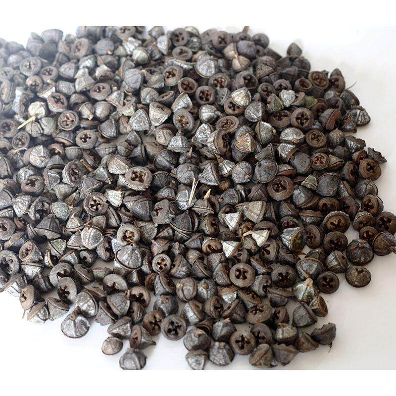 尤加利果干花十字果桉树果一口钟尤加利老果diy圣诞装饰干花