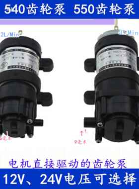 550齿环泵轮工泵循抽油IUQ化水泵12V24V微型高压高粘度自吸泵