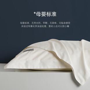 五星級酒店專用100支枕套一對裝 純棉全棉枕套48X74cm順柔