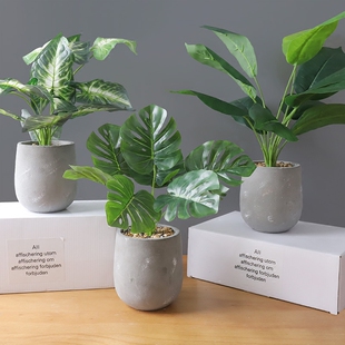 创意仿真龟背叶假盆栽植物室内房间装饰品摆设办公桌仿真绿植摆件