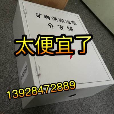 BTTZYTTW矿物质电缆分支箱矿物质绝缘电缆分支箱T接箱3*120+1*70