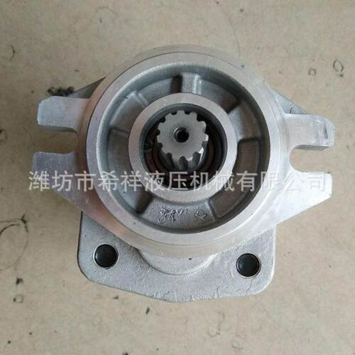 厂家现货转子泵销售各种系列恒流泵转向器工作齿轮马达