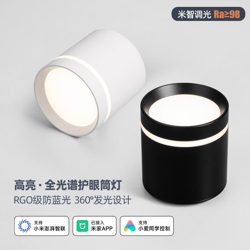 APP智能明装筒灯免吊顶免开孔割草机/草坪机