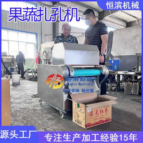 干果果干蓝莓扎孔机青梅西梅果脯打孔机大樱桃车厘子刺孔机