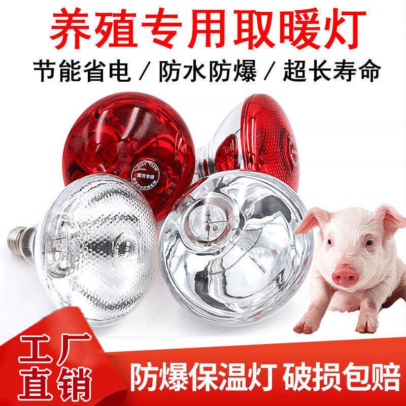 保温灯猪用仔猪保暖灯小鸡育雏保温灯养殖场专用取暖灯泡加热烤灯