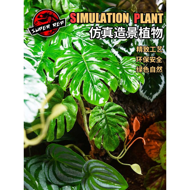 SuperRep爬虫造景雨林缸真植物爬宠陆龟蜥蜴睫角守宫饲养箱装饰