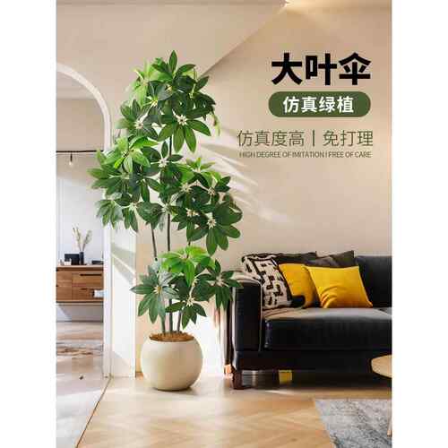 摇钱树模拟绿色植物盆景大盆大叶伞高端客厅电视柜装饰摆件厂