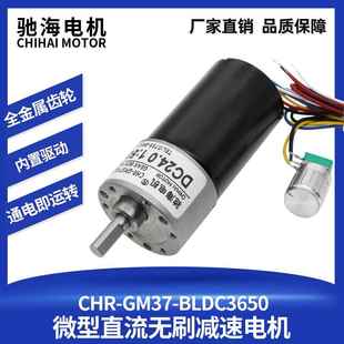 驰海电机直销GM37BLDC3650直流无刷减速马达带刹车过流保护