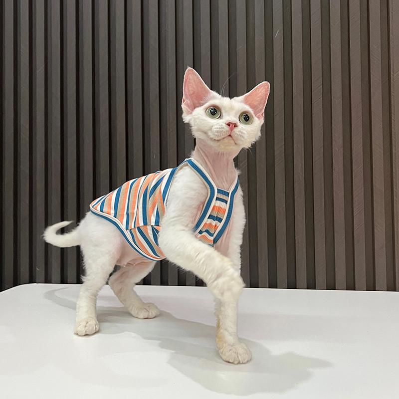 纯棉居家吊带高弹好穿任发财无毛猫衣服斯芬克斯猫德文