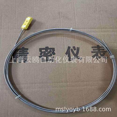 k型双支铠装热电偶WRNK2-281/381铠装丝304不锈钢耐800度