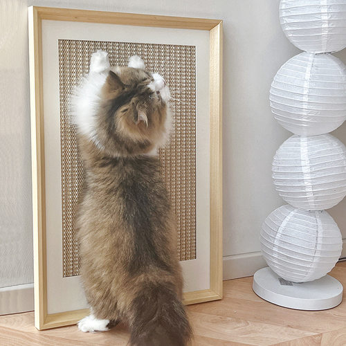 装饰画猫咪剑麻宠物宠物智能玩具