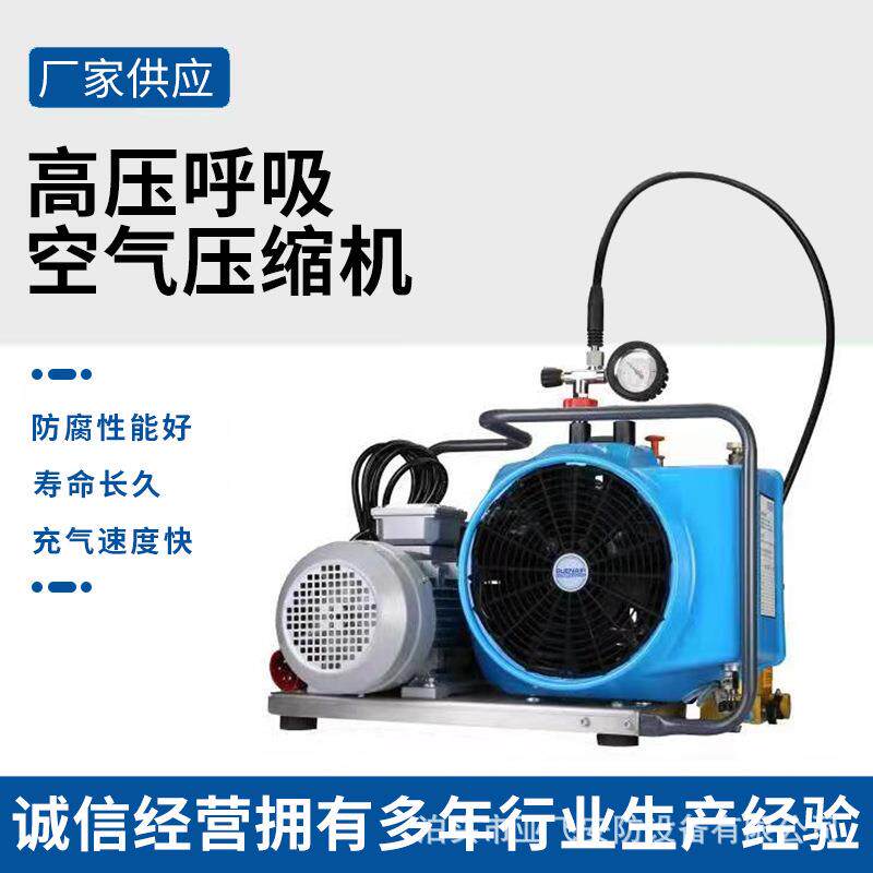 便携式高压空气压缩机救援潜水正压式空气呼吸器消防空气充填泵