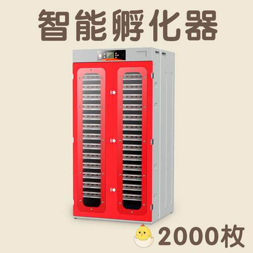 中国红2000枚新品一机三用农场小鸡养殖工业孵化器智能孵化家禽
