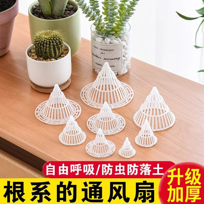 花盆底孔塑料兰花园艺用品套装
