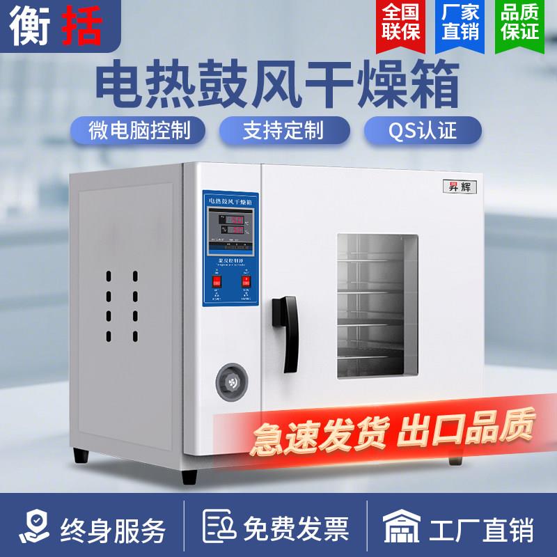 电热恒温鼓风干燥箱实验室小型烘箱食品烘干机工业高温烤箱烘干箱