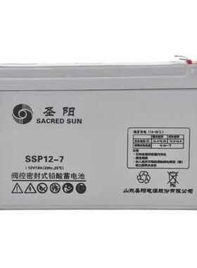 圣阳SP12-100蓄电池12V7AH17AH24AH38AH65A120A150A200AH机房专用