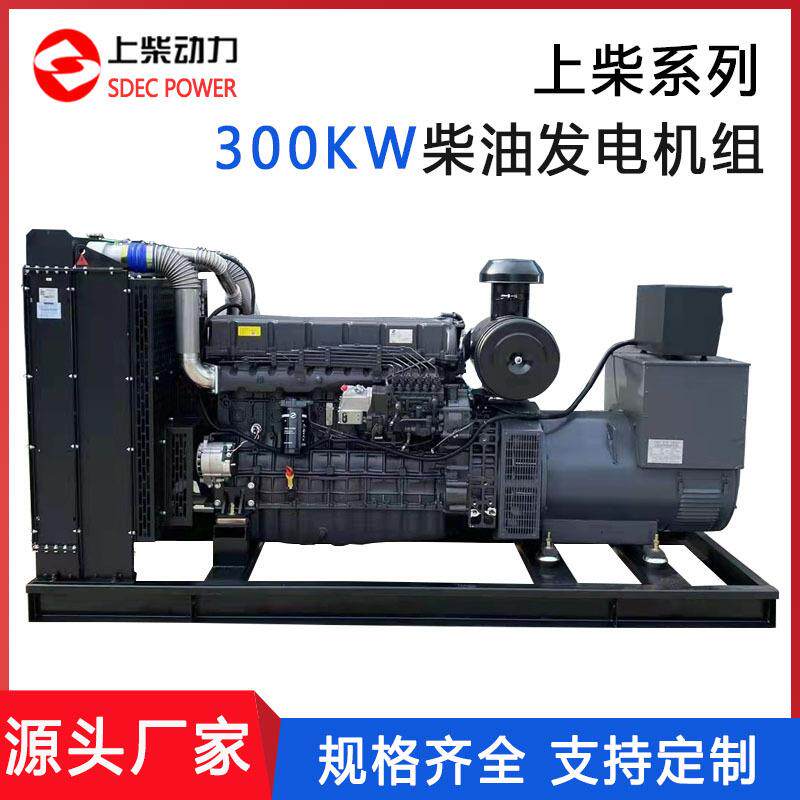 股份300W柴油发电机组大功率300W发电机无刷低噪音备用380V