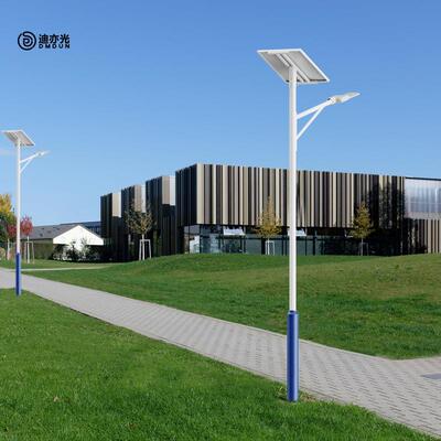 路灯户外市道DYLD-AA2路照明阳能板照工程新太农政村6米LED明灯