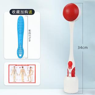 正品按摩锤子用经家络拍打神器腿小部肩背棒部按摩捶背器敲打锤按