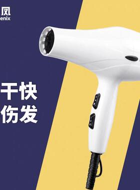 火之凤吹风机理髲店专业发廊大功率家庭用静音强风速干吹风机3000