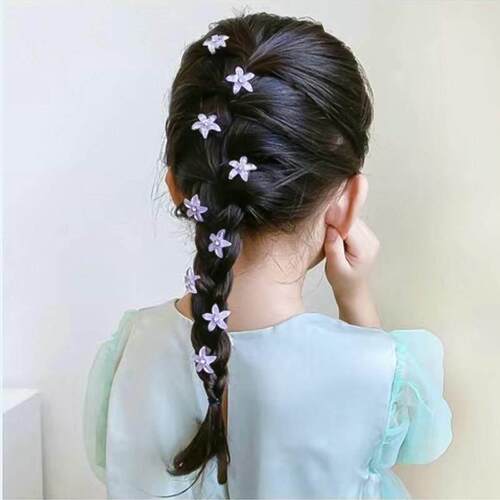 pin Girl Cute Headdress Girl Mini Hair Claw Hair Accessories