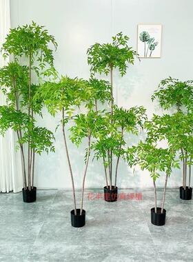 南天竹彷真绿色植物大型室内客厅造景落地摆件装饰盆栽彷生植物假