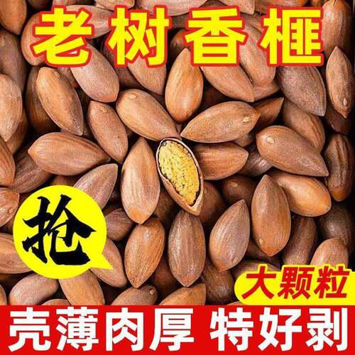 香榧子2025年新货诸暨特产香榧果250克500克含包装休闲零食坚果干