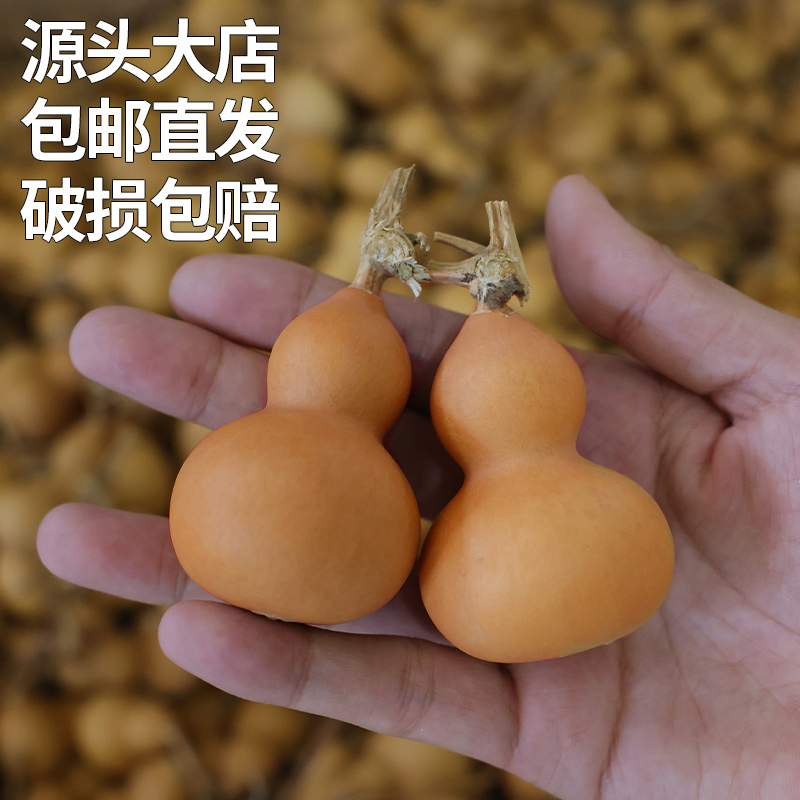 手把葫芦摆件里手装饰件龙头小文玩天然葫芦真原生挂件把玩金捻草