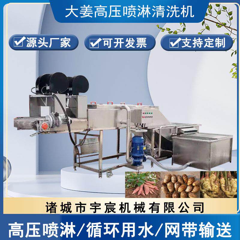 大姜清洗机商用大型连续式高压喷淋药材清洗机姜不辣清洗机